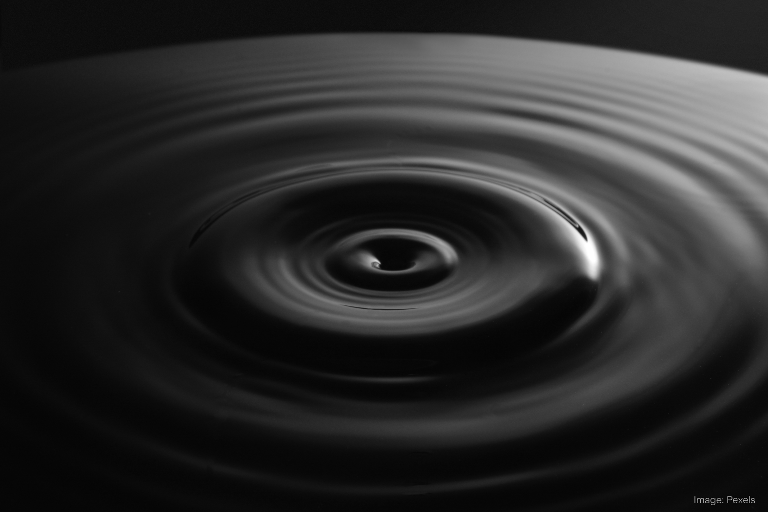 Image 5.png
