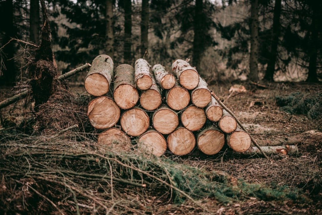 lump-sum-of-logs.jpg