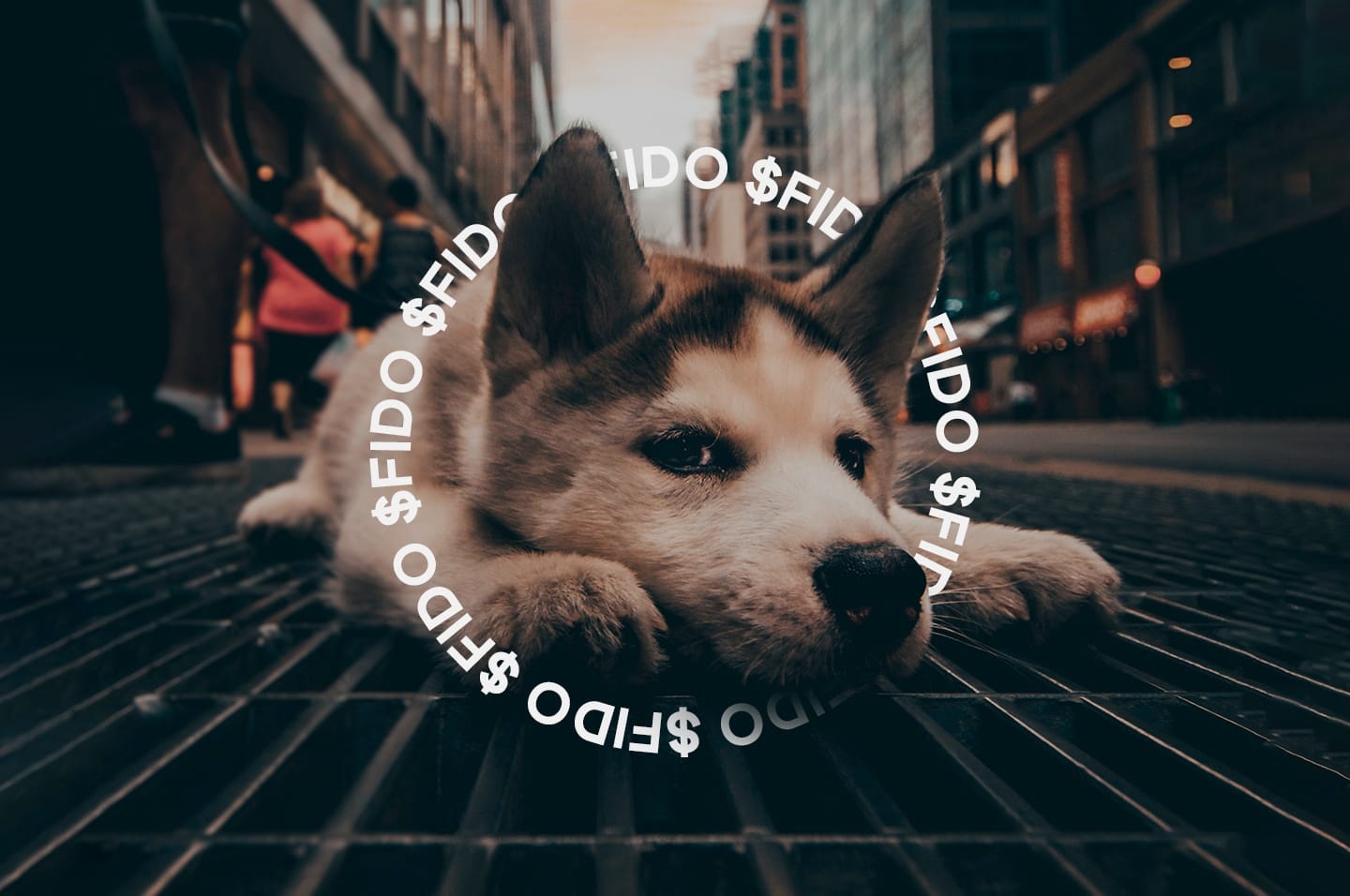 FIDO_1440x956-1.jpg