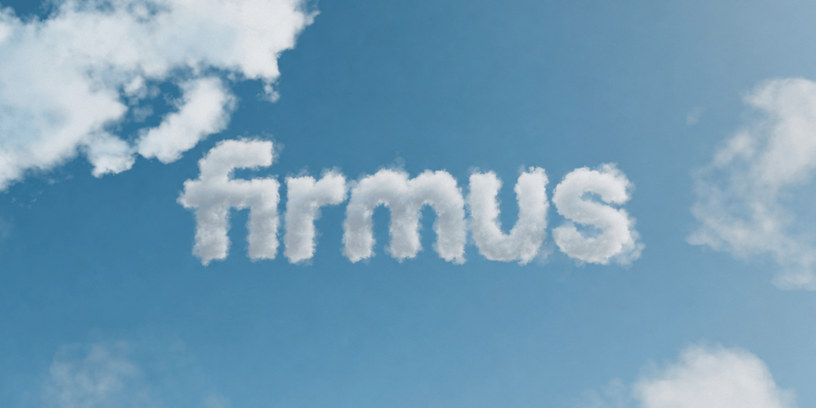 Firmus.png