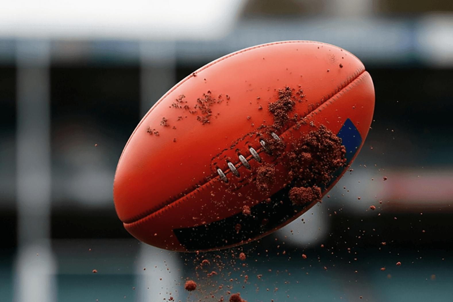 Image 11 (2).png