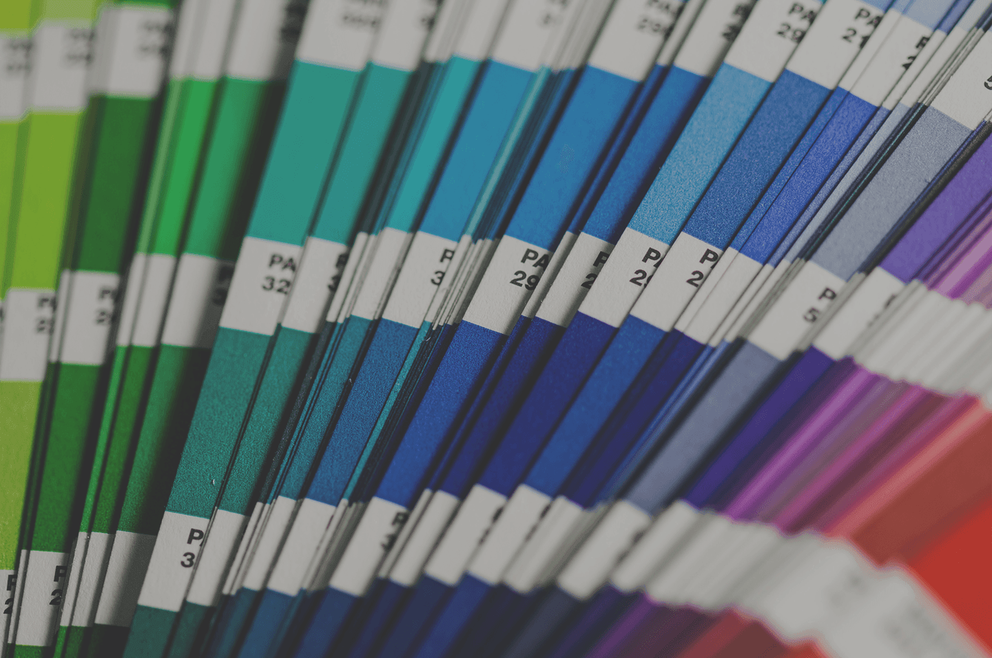 Pantone_1440x956-1.png