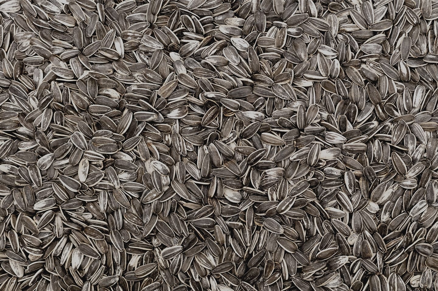 Seeds_1440x956.jpg