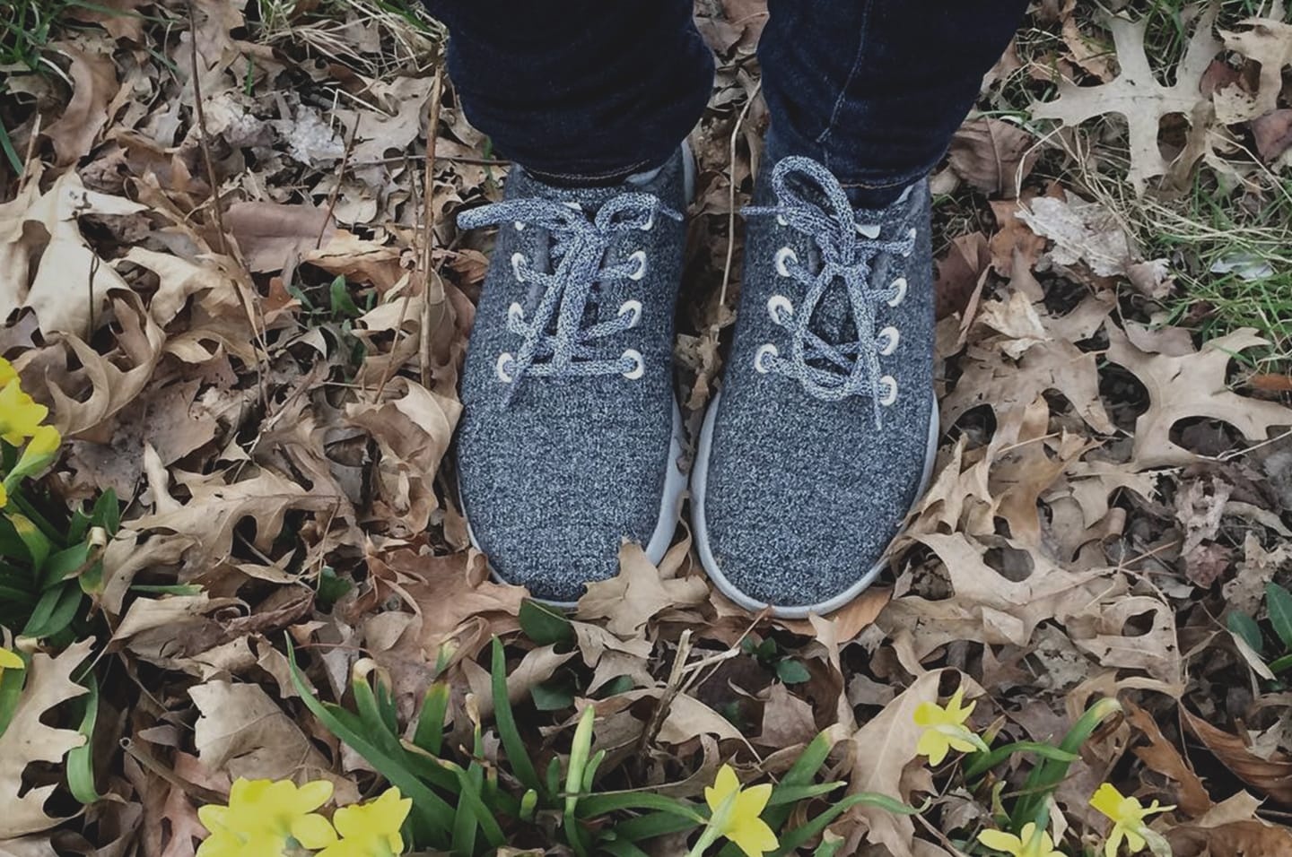 allbirds_option1.jpeg