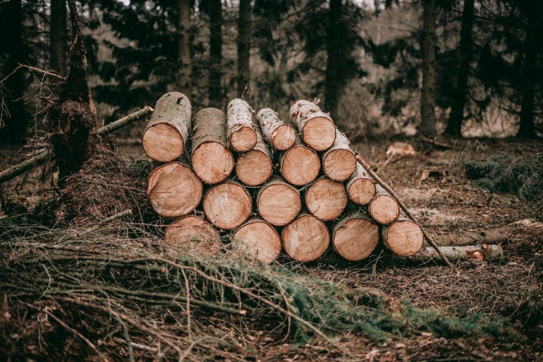 lump-sum-of-logs.jpg