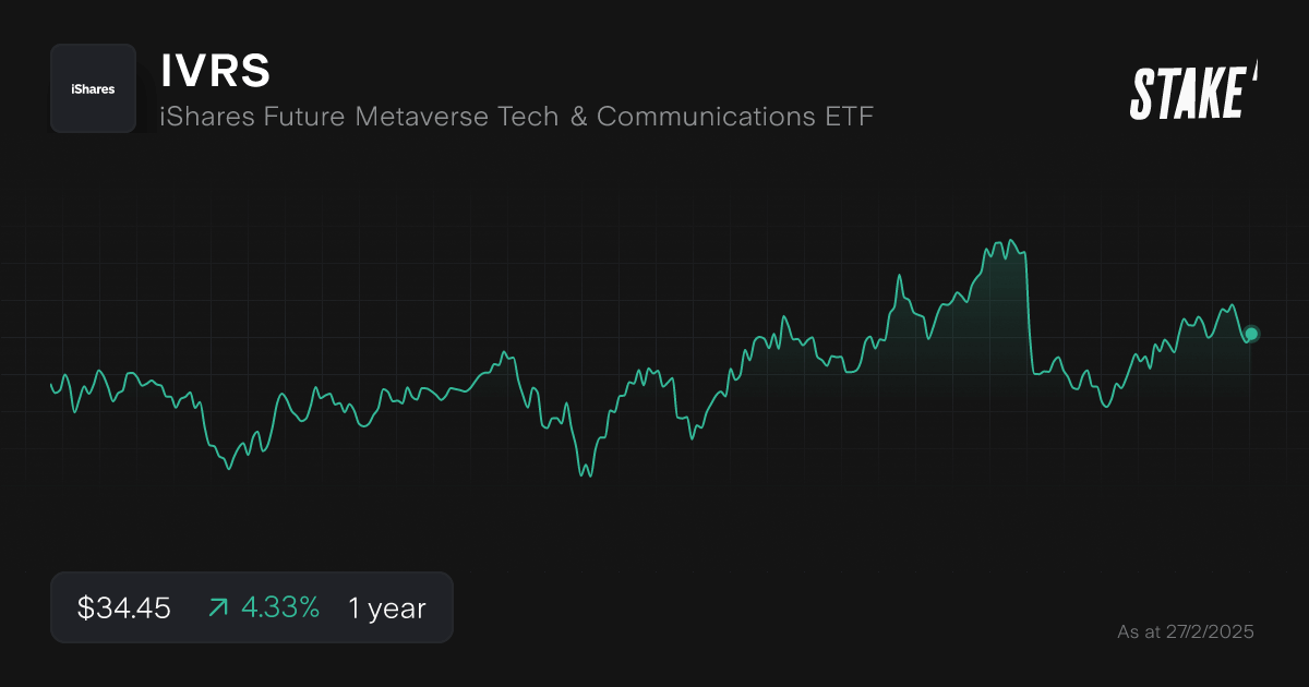 ivrs-metaverse-etf-1-year-chart.png