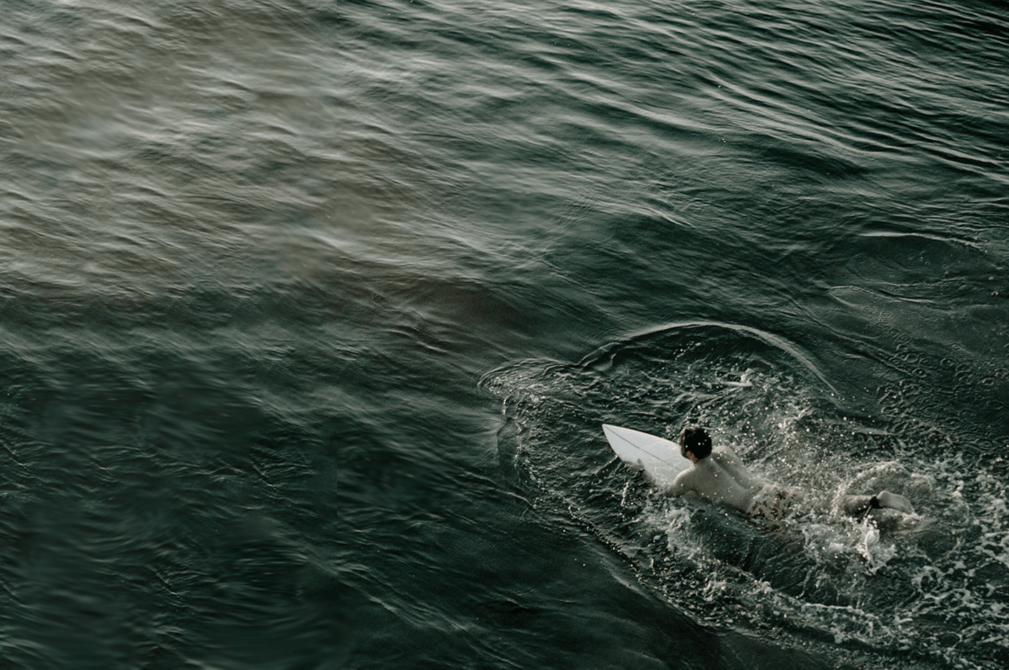 SurfsUp_1440x956.png