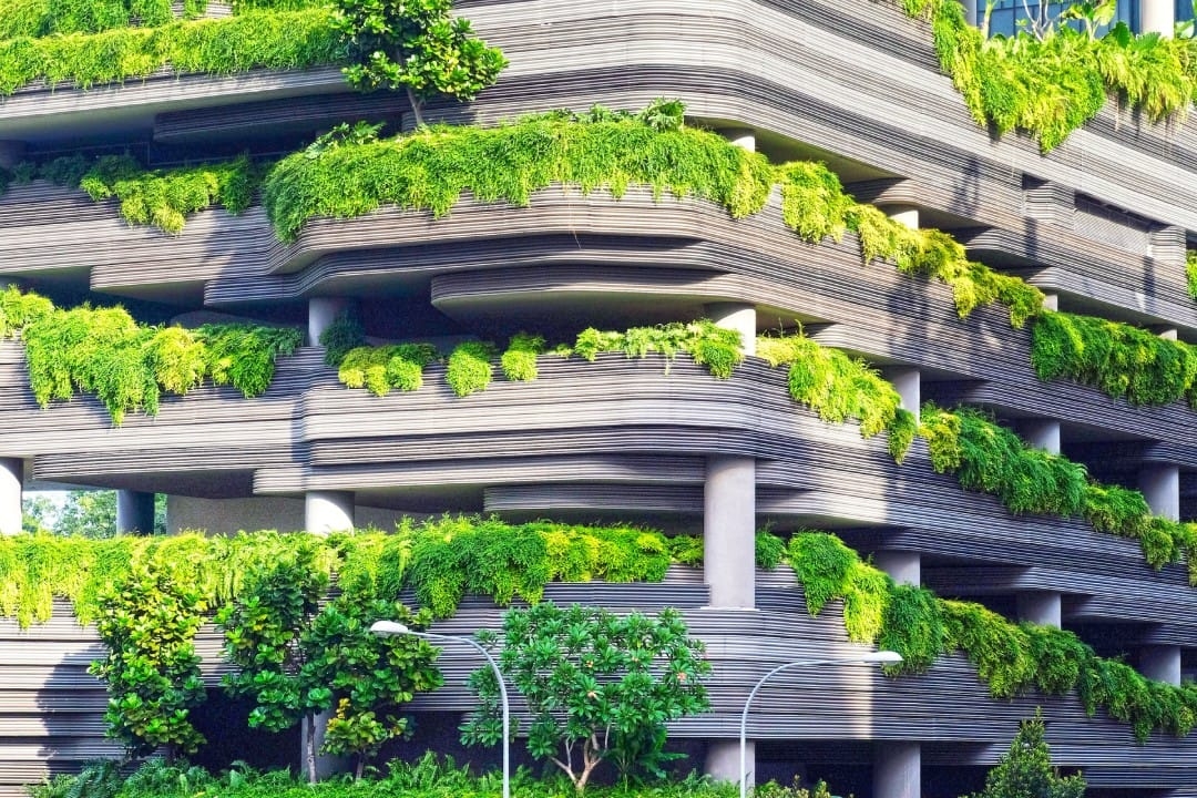 gray-concrete-building-covered-trees.jpg